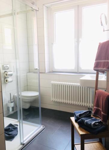 a bathroom with a toilet and a glass shower at Burghof Kyffhäuser in Bad Frankenhausen