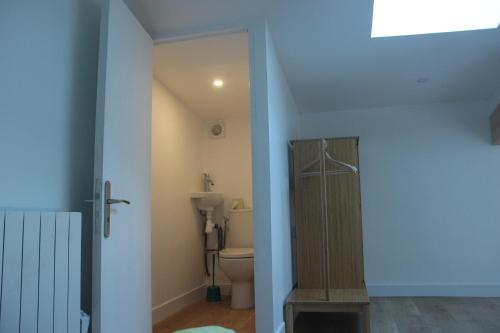 a bathroom with a toilet and a shower in it at Allée des Roses in Saint-Philippe-dʼAiguille