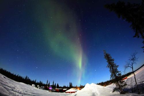 an aurora in the sky over a snow covered slope at Camp Alta Kiruna in Kiruna