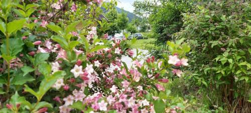 Gallery image of Camping Bella Austria in Sankt Peter am Kammersberg