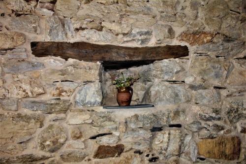 Una pared de piedra con un jarrón con una planta. en Alojamientos Serra da Lastra, en Villar de Silva