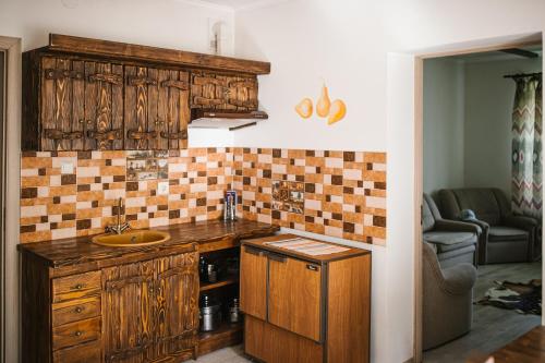 a kitchen with wooden cabinets and a sink at Урочище Rafnivskyi in Lyuta