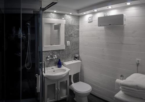 ein Bad mit einem WC, einem Waschbecken und einer Dusche in der Unterkunft Agroturystyka Husinka pl in Husinka