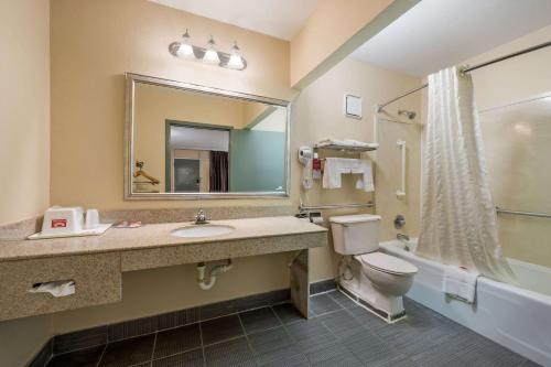 a bathroom with a sink and a toilet and a mirror at Econo Lodge Cullman in Cullman