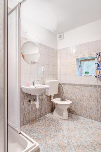 a bathroom with a sink and a toilet and a shower at Roubenka Javor 33 in Teplice nad Metují