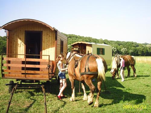 a girl standing next to a horse next to a building at Che'Val d'Amour in Écleux
