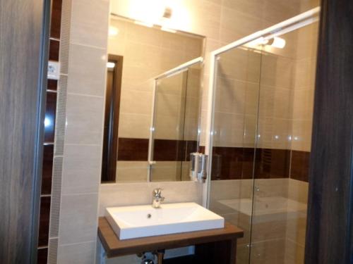 a bathroom with a sink and a glass shower at Hotel Írisz in Nyíregyháza