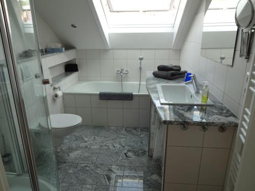 uma casa de banho com um WC, um lavatório e um chuveiro em SOLADOM em Efringen-Kirchen