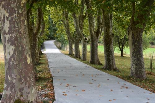a walking path through a park with trees at Domaine de calbiac in Dolmayrac