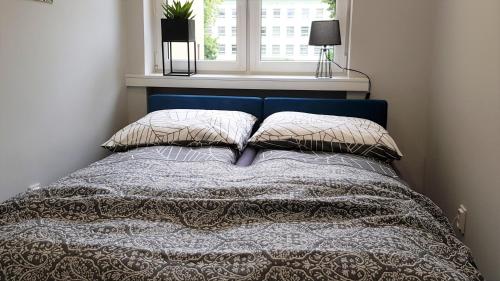 a bed with a blue headboard with pillows and a window at ALEJA PARK CZĘSTOCHOWA in Częstochowa