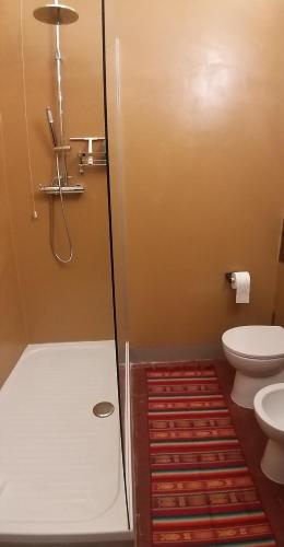 a bathroom with a shower and a toilet at Vasari Home in Arezzo