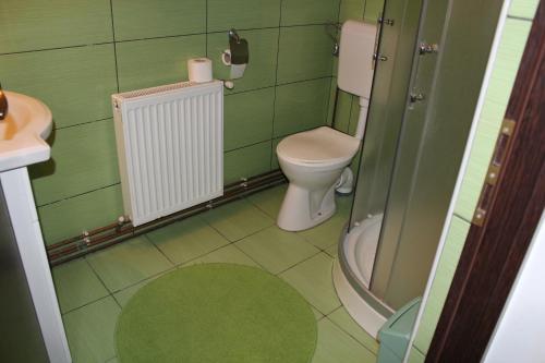 a green bathroom with a toilet and a shower at Pensiunea Iulia in Bran