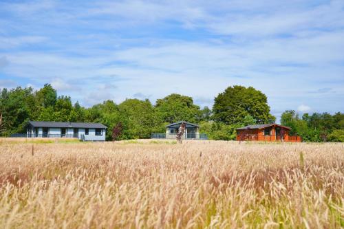 a field of tall grass with houses in the background at Linwater Caravan Park - Luxury Lodges and Static Caravans near Edinburgh in Newbridge