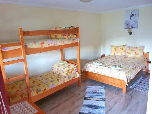 1 Schlafzimmer mit 2 Etagenbetten und einer Leiter in der Unterkunft Casa Monika Ciocarliei in Sovata
