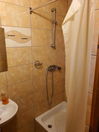Koupelna v ubytování Casa Monika Ciocarliei