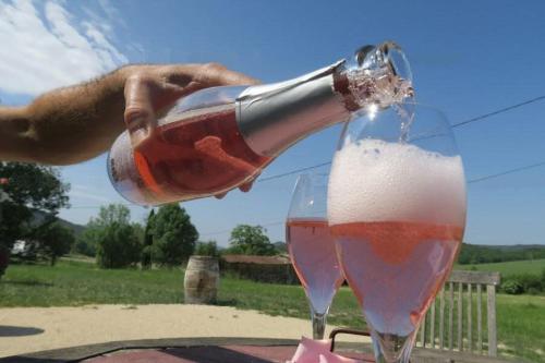 une personne déversant une boisson dans un verre de vin dans l'établissement CoeurAccords, spa & bien-être au calme NATURISTE toute l'année, à Saint-Bardoux