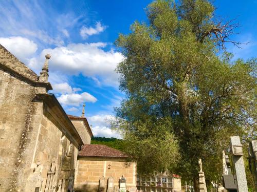 una iglesia vieja y un árbol al lado de un edificio en Casa Blanco Conde Pensión, en Laza