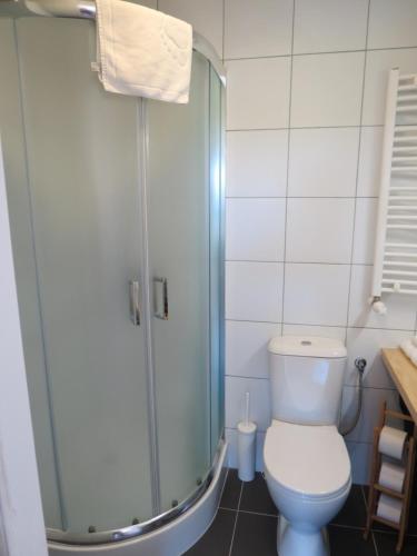 a bathroom with a toilet and a glass shower at The Blue Beetroot in Bolesławiec