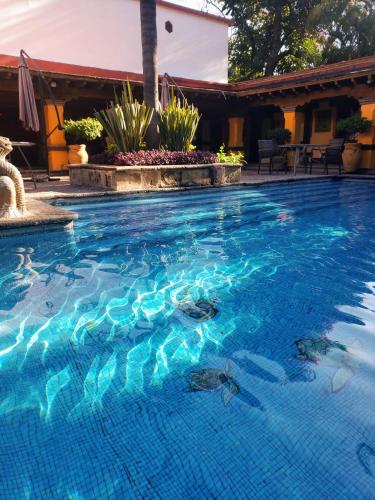 Piscina en o cerca de La Joyita Cuernavaca