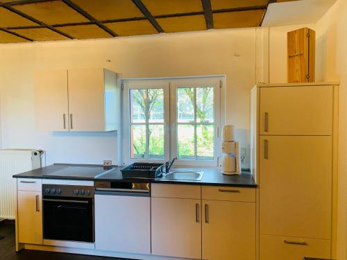 スタインハイトにあるBaude Steinheid am Rennsteig mit 12 Bettenのキッチン(シンク、コンロ付)、窓が備わります。