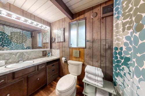 a bathroom with a toilet and a sink and a mirror at Lakedale Lodge in Ronald
