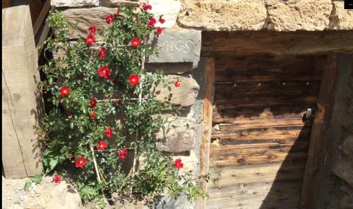 a bush of red roses growing on a stone wall at Le Ptit Chalet in Valloire