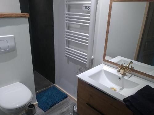 W łazience znajduje się umywalka, toaleta i lustro. w obiekcie Le Ptit Chalet w mieście Valloire