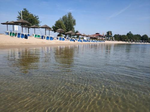 Φυσικό τοπίο κοντά σε αυτό το διαμέρισμα