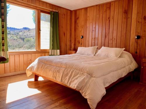 łóżko w drewnianym pokoju z dużym oknem w obiekcie Fly Fishing Cabin, Great Views w mieście Junín de los Andes