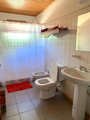 a bathroom with a toilet and a sink at Fly Fishing Cabin, Great Views in Junín de los Andes