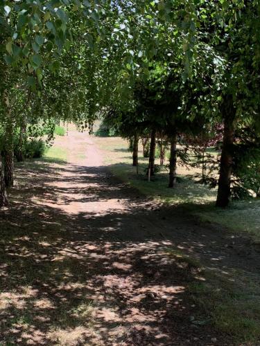 a tree lined path in a park with trees at Fly Fishing Cabin, Great Views in Junín de los Andes