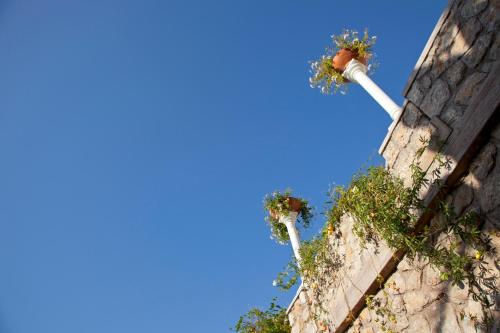 Φωτογραφία από το άλμπουμ του Hotel La Floridiana στο Κάπρι