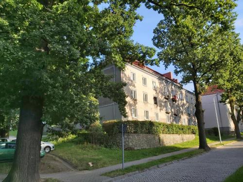 a building on the side of a street with trees at Apartament Attico in Kowary