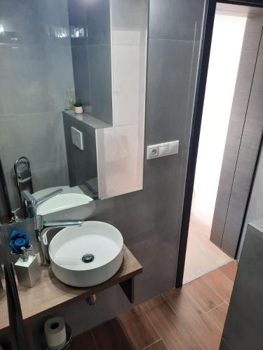 a bathroom with a white sink and a mirror at Villa Zarra in Habovka