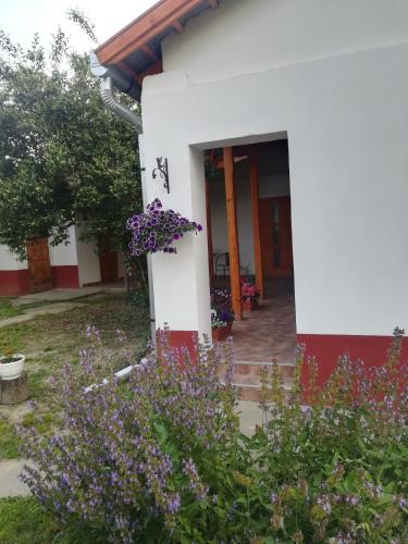 a house with flowers in front of it at Négy Tücsök Vendégház in Nagykörů