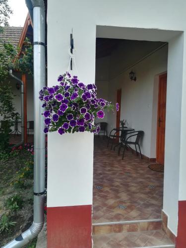 a pot of purple flowers hanging from a building at Négy Tücsök Vendégház in Nagykörů