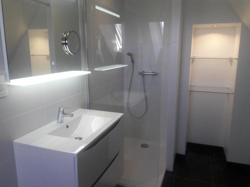 a white bathroom with a shower and a sink at Domaine de Bel Air in Cérans-Foulletourte