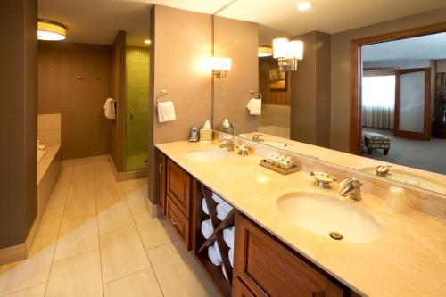 A bathroom at Holiday Inn Sioux Falls-City Center, an IHG Hotel