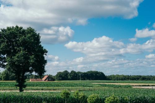 a field of crops with a tree and a house at Hotel 46 in Wintelre