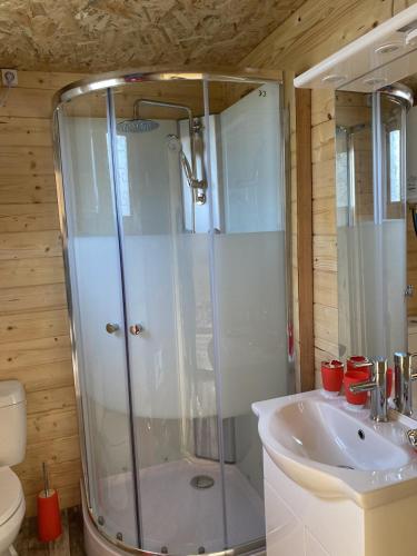une salle de bain avec douche et lavabo dans l'établissement Charmant Chalet pour 2 personnes SPA privé, à Massillargues-Attuech
