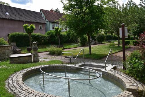 a small pool of water in a yard at Ferienwohnung Abspanne in Bad Bibra