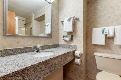 Quality Inn Selinsgrove في سيلينسغروف: حمام مع حوض ومرآة ومرحاض