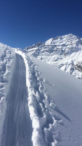 Alpinist Homestay v zimě
