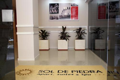 a glass display case with three potted plants at Sol de Piedra Apart, Suites & Spa in Cordoba