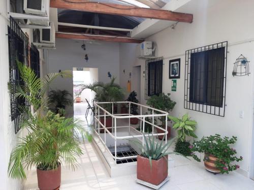 Μπαλκόνι ή βεράντα στο Hotel Anita
