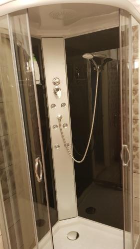 y baño con ducha y puerta de cristal. en Lia Apartman, en Kiskunhalas