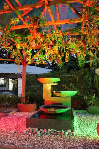 a garden with a fountain and a palm tree at Cabanes Des Anges in La Digue