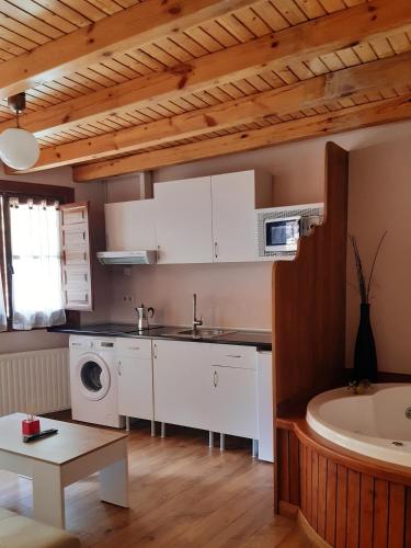 a kitchen with a sink and a washing machine at Apartamentos Aguasaliu in Ponga