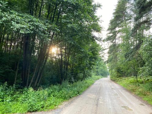 a dirt road with the sun shining through trees at Dom z basenem i widokiem na łąkę in Raduń