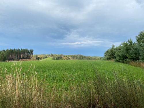 a field of green grass with trees on the horizon at Dom z basenem i widokiem na łąkę in Raduń